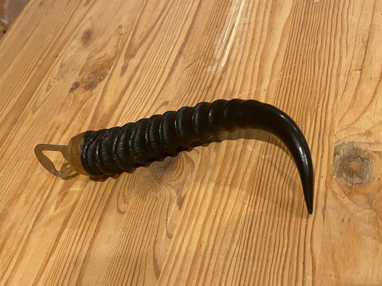 Horn Bottle Opener