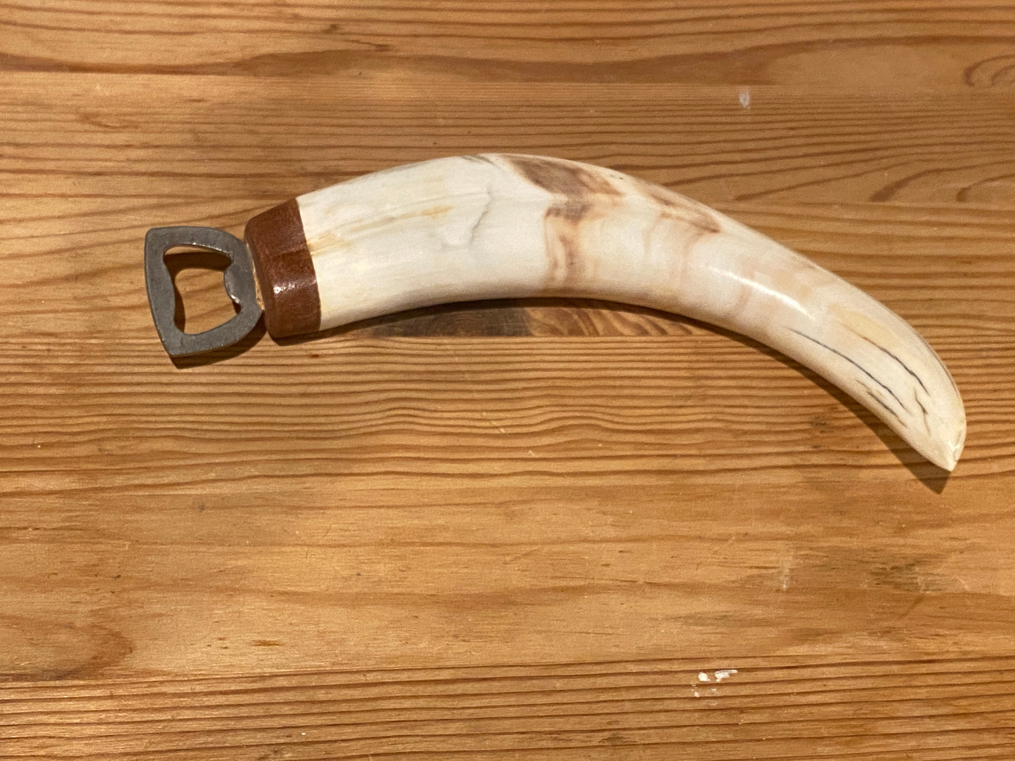 Warthog Tusk Bottle Opener