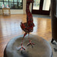 Aluminum Can Penguin