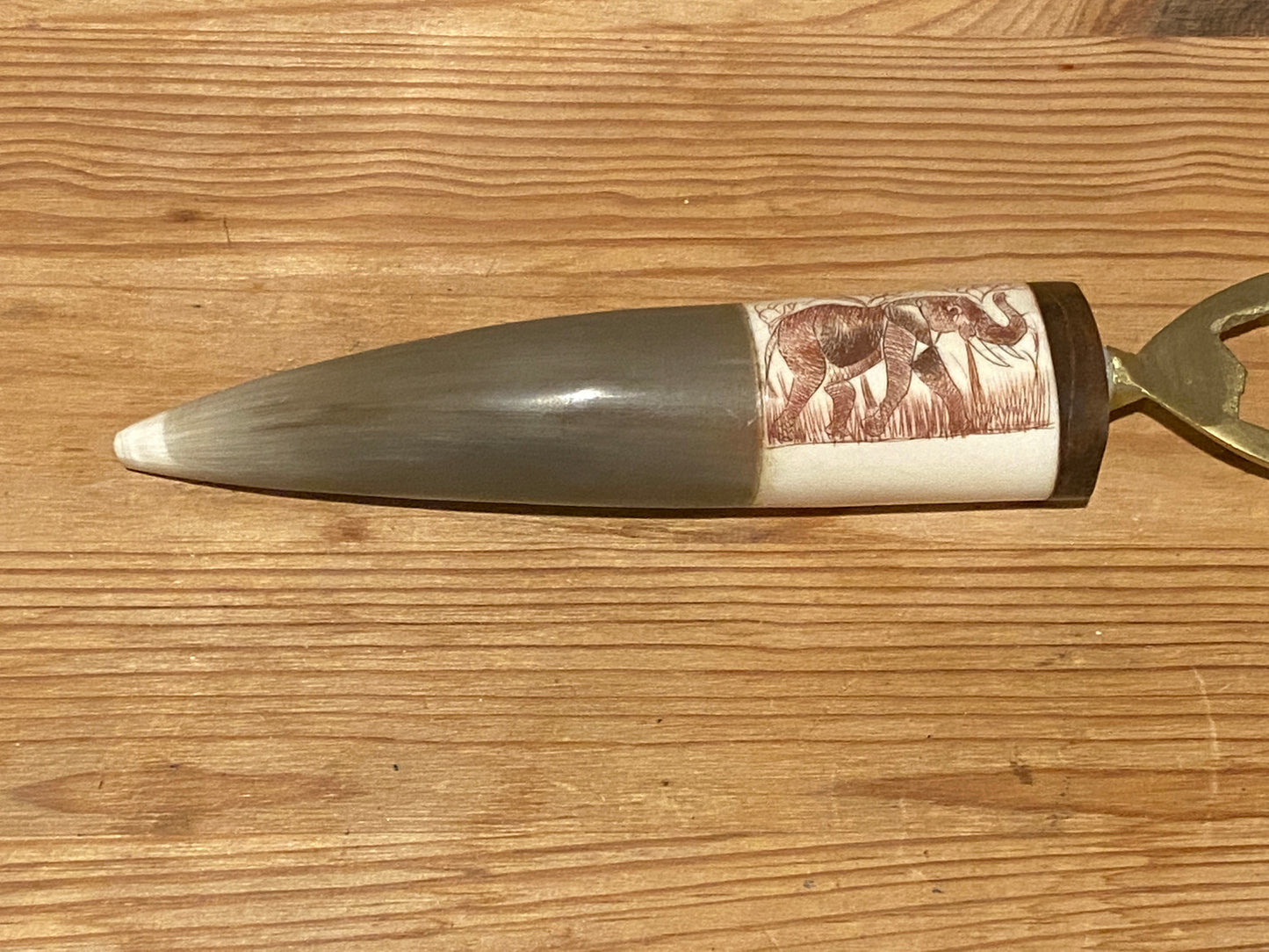 Warthog Tusk Bottle Opener